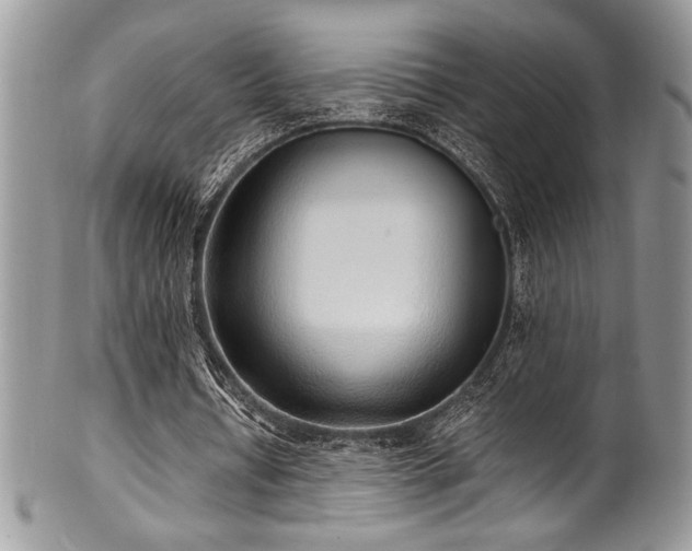 X0000100340434200806051542