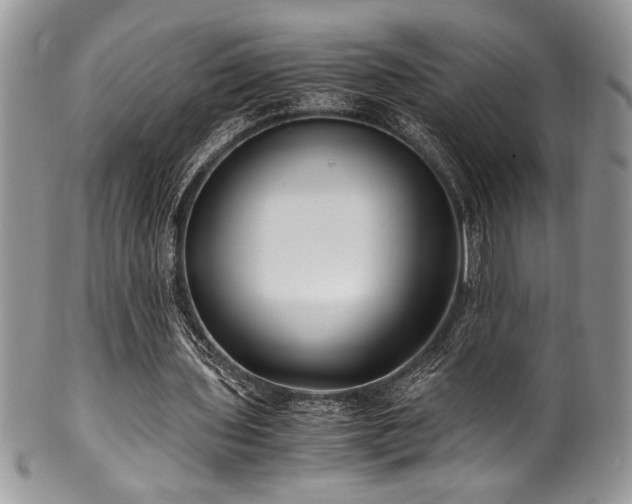 X0000100340435200806051542