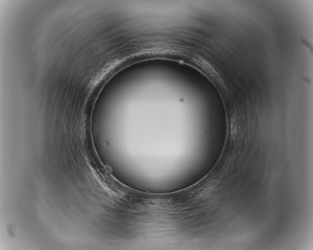 X0000100340436200806051542