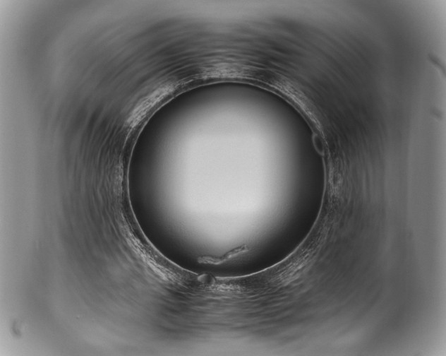 X0000100340437200806051542