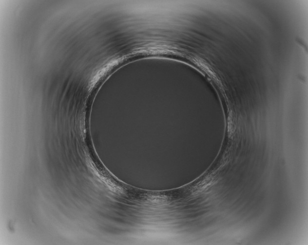 X0000100340438200806051542