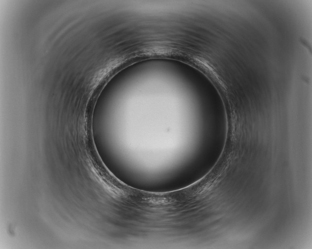 X0000100340439200806051542