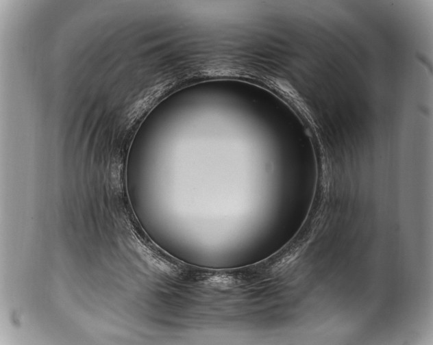 X0000100340441200806051542