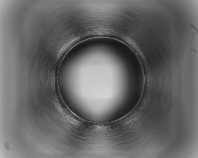 X0000100340442200806051542
