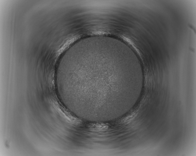 X0000100340443200806051542