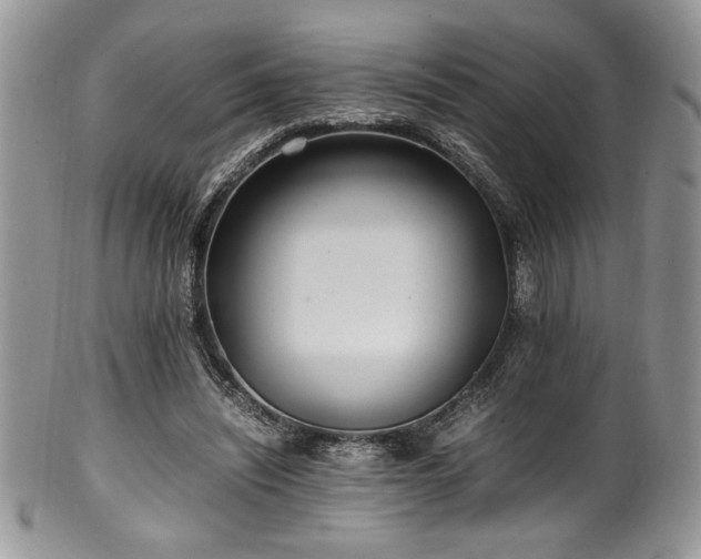 X0000100340444200806051542