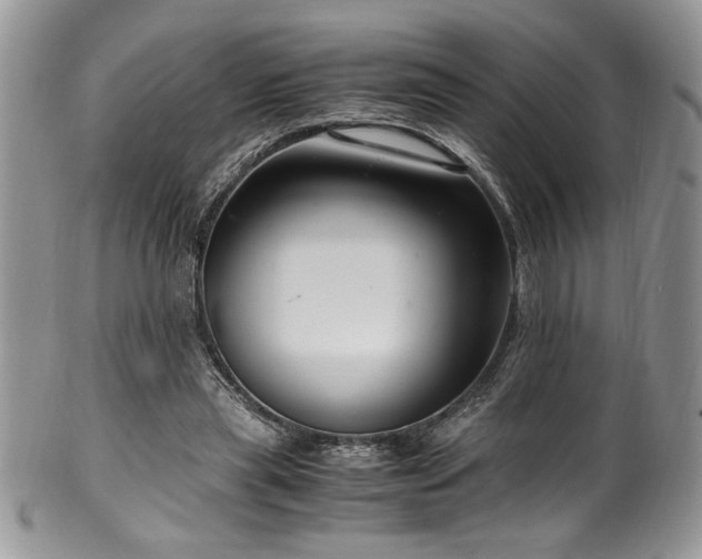 X0000100340445200806051542