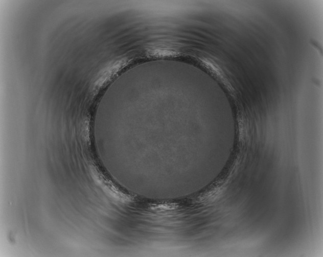 X0000100340447200806051542