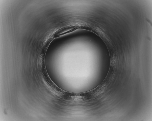 X0000100340448200806051542