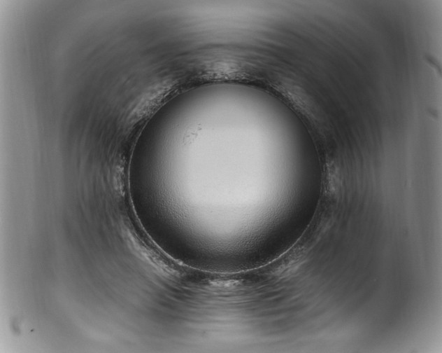 X0000100340450200806051542