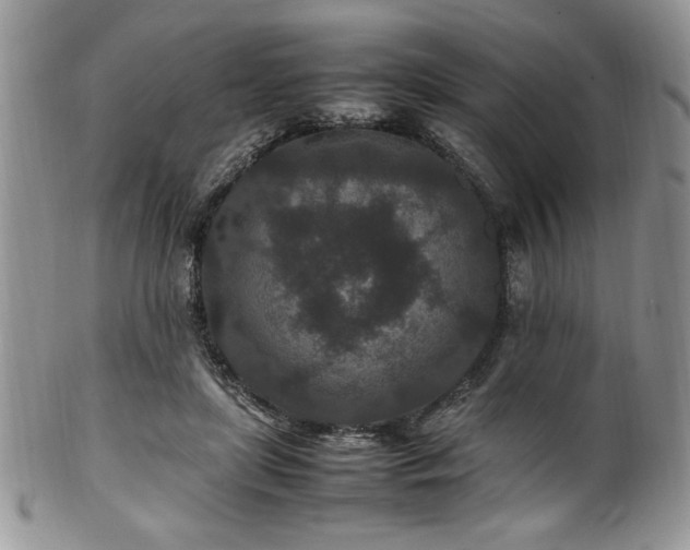 X0000100340451200806051542