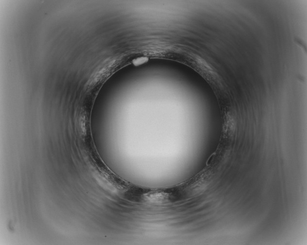 X0000100340452200806051542