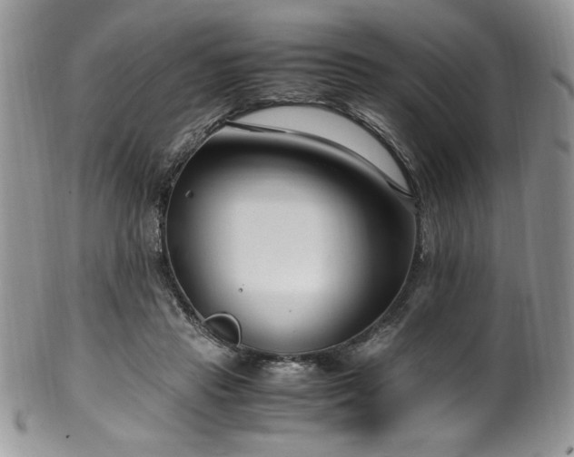 X0000100340453200806051542