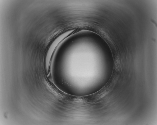 X0000100340454200806051542