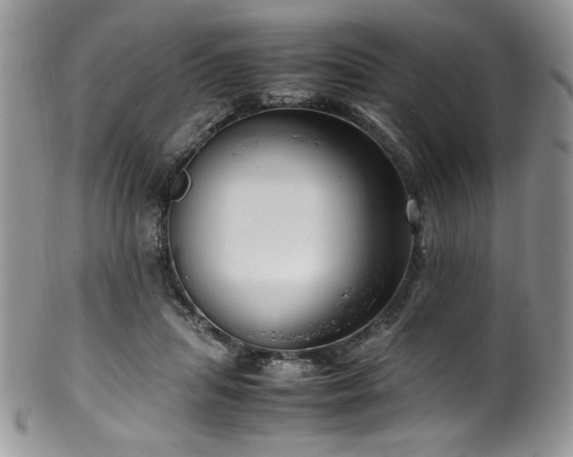 X0000100340455200806051542