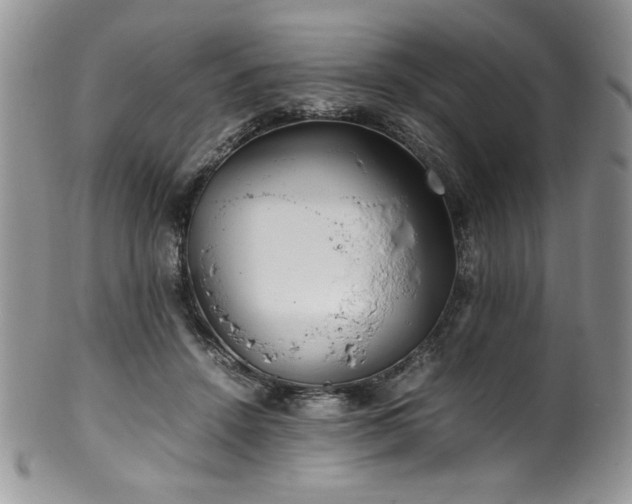 X0000100340456200806051542
