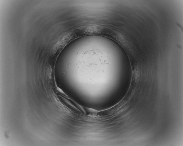X0000100340458200806051542