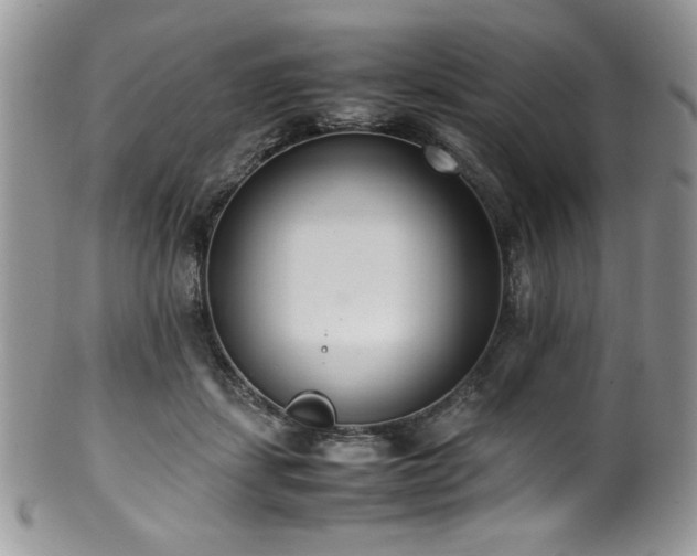 X0000100340459200806051542