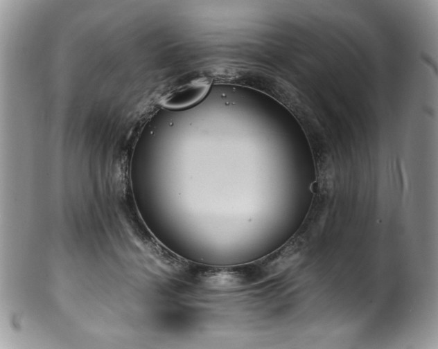 X0000100340460200806051542