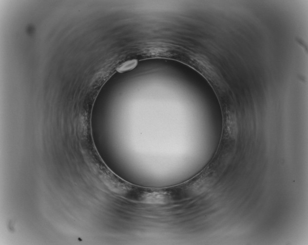 X0000100340461200806051542