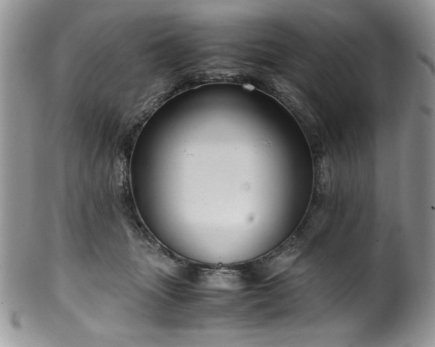 X0000100340463200806051542