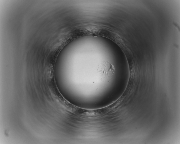 X0000100340464200806051542