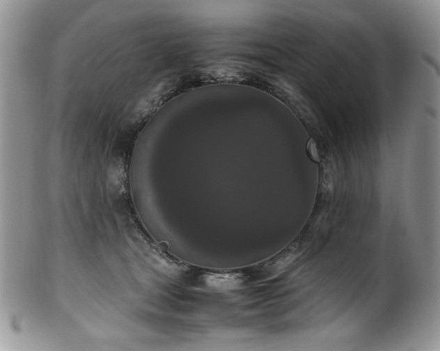 X0000100340465200806051542