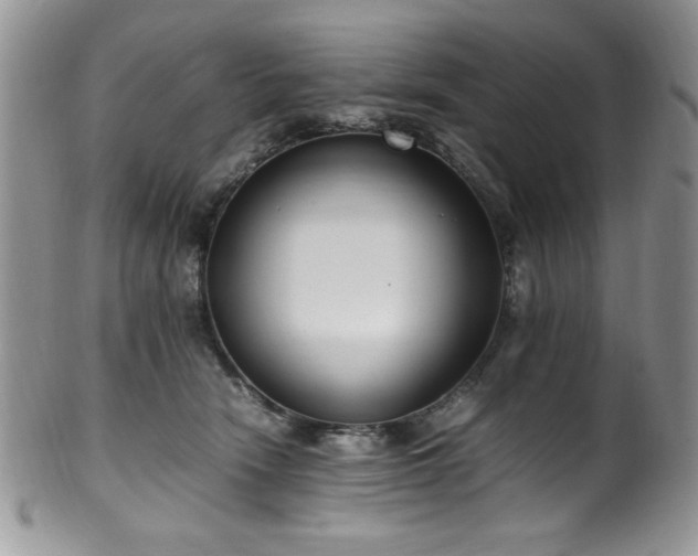 X0000100340466200806051542