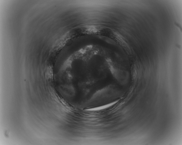 X0000100340467200806051542