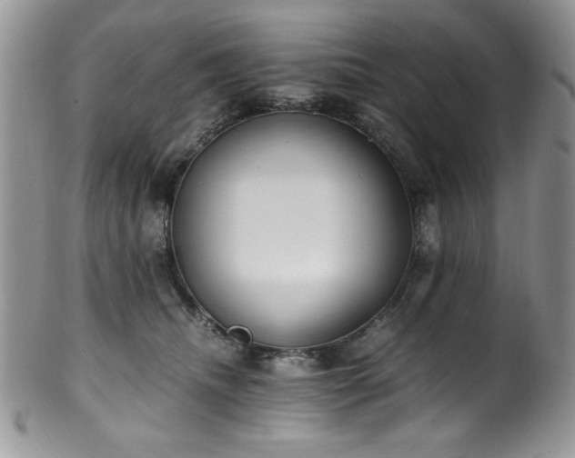 X0000100340468200806051542