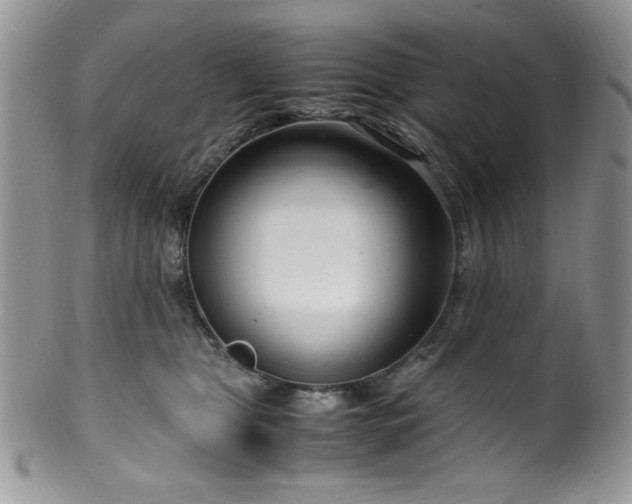 X0000100340469200806051542