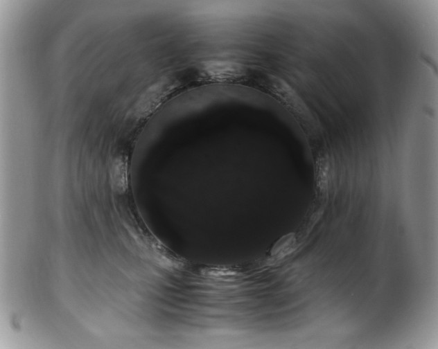 X0000100340471200806051542