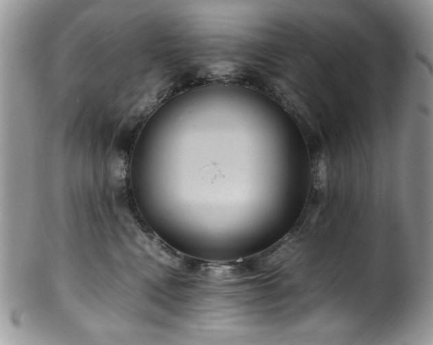 X0000100340472200806051542