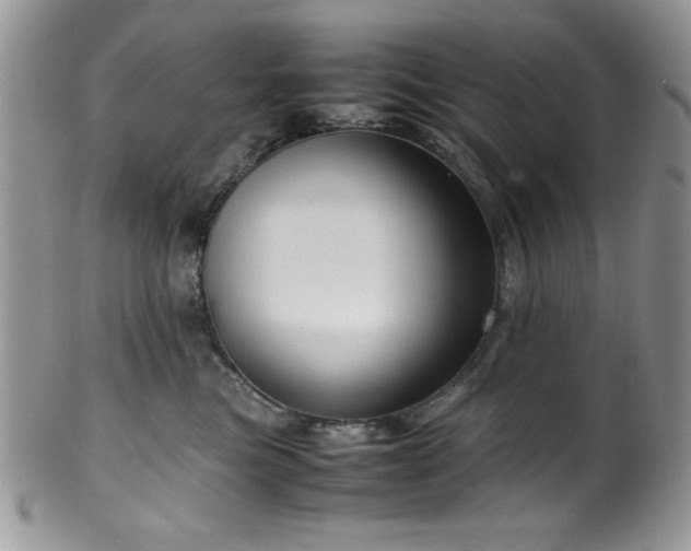 X0000100340473200806051542