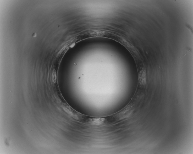 X0000100340474200806051542