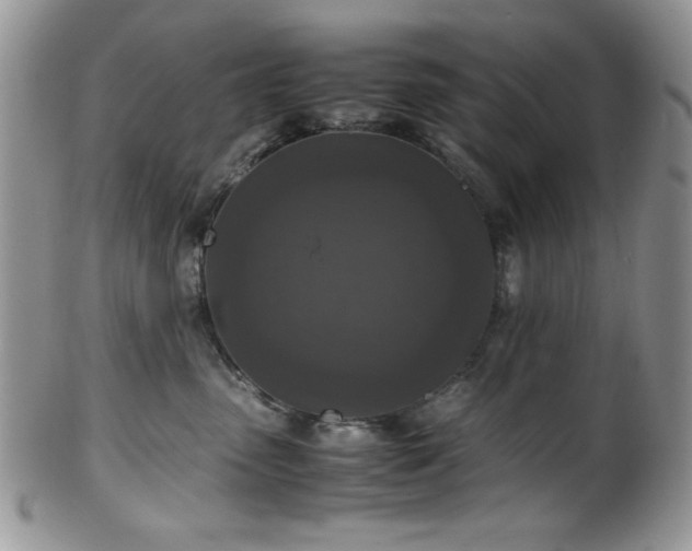 X0000100340475200806051542