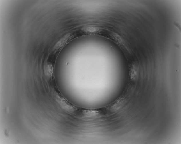 X0000100340476200806051542