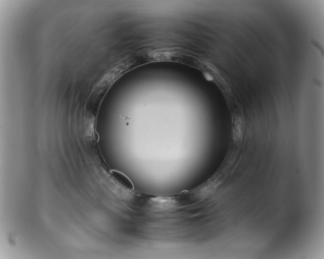 X0000100340477200806051542