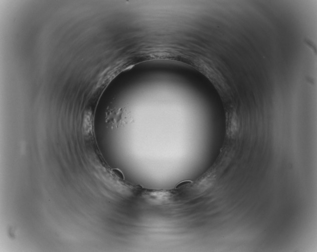 X0000100340478200806051542