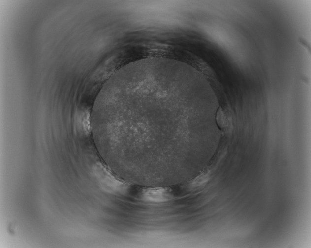 X0000100340479200806051542