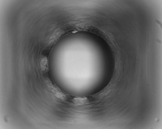 X0000100340480200806051542