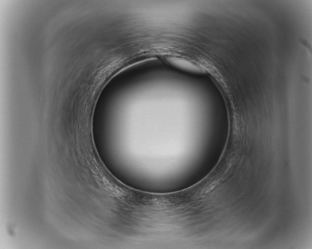 X0000100340481200806051542
