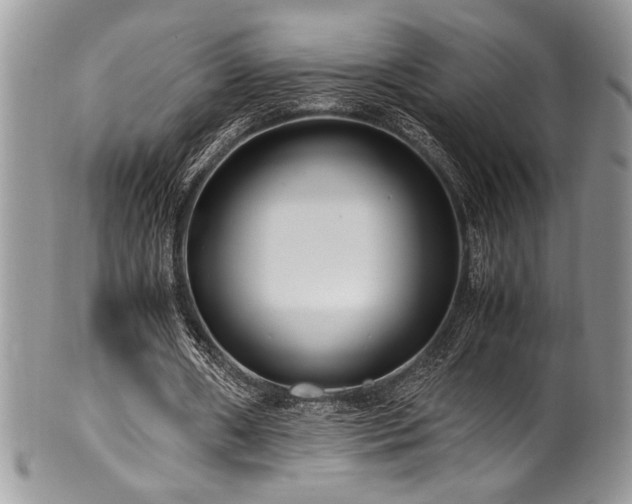 X0000100340482200806051542