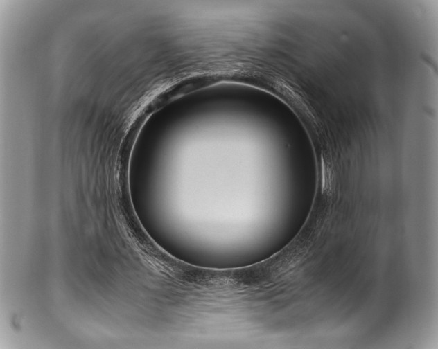 X0000100340483200806051542
