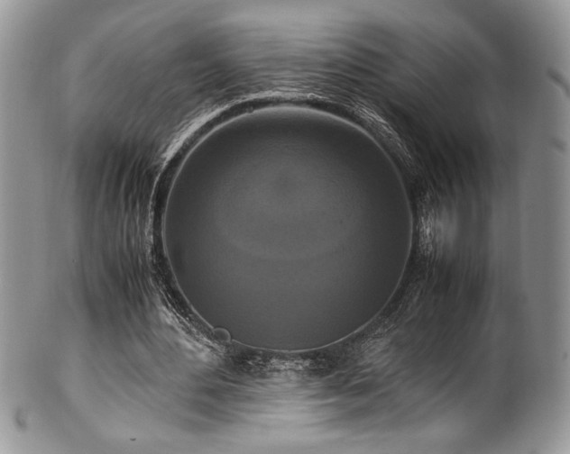 X0000100340484200806051542
