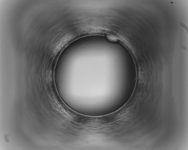X0000100340485200806051542
