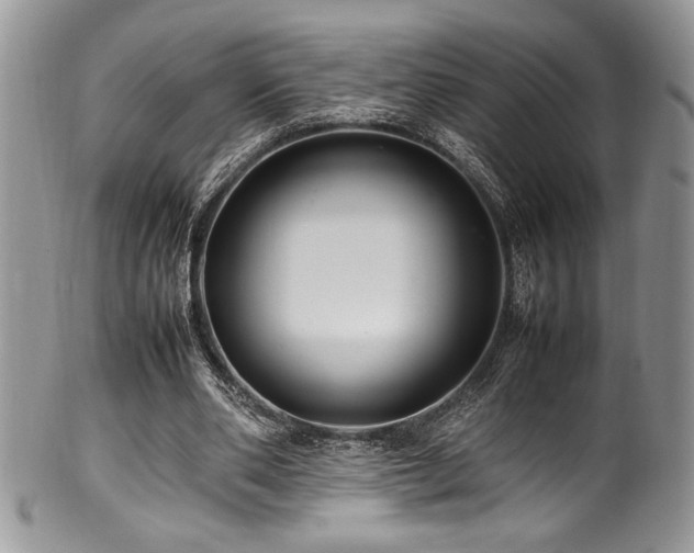 X0000100340486200806051542