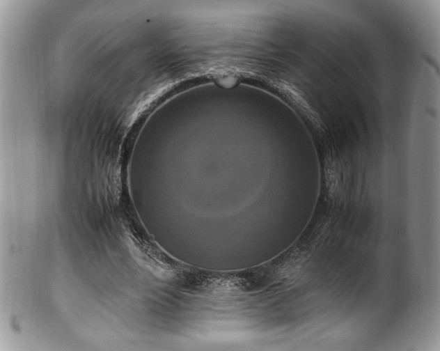 X0000100340488200806051542