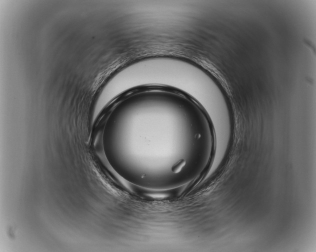 X0000100340489200806051542