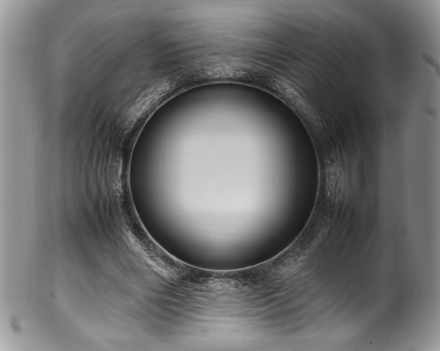 X0000100340490200806051542